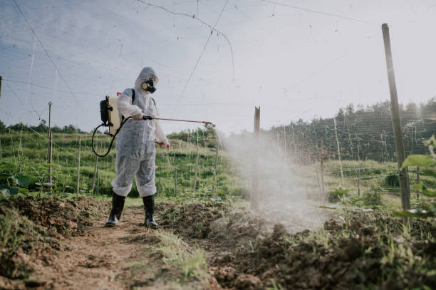 Best Best Pest Control Companies  in Mount Ayr, IA