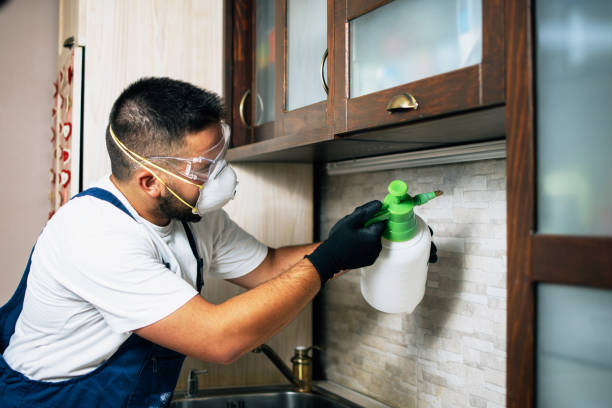 Best Cockroach Control Services  in Mount Ayr, IA
