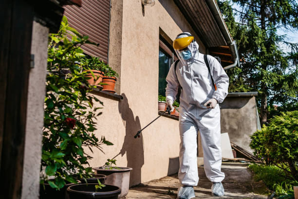 Best Commercial Pest Control Services  in Mount Ayr, IA