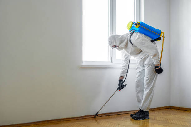 Pest Prevention Services in Mount Ayr, IA